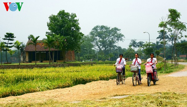 The organization of a typical Viet village - ảnh 1